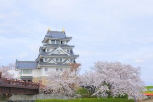 墨俣一夜城、さくら、4月春の花、岐阜県大垣市の観光・撮影スポットの画像と写真