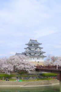墨俣一夜城、さくら、4月春の花、岐阜県大垣市の観光・撮影スポットの画像と写真