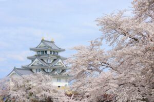 墨俣一夜城、さくら、4月春の花、岐阜県大垣市の観光・撮影スポットの画像と写真