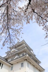 墨俣一夜城、さくら、4月春の花、岐阜県大垣市の観光・撮影スポットの画像と写真