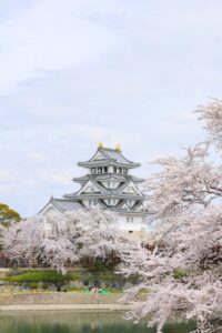 墨俣一夜城、さくら、4月春の花、岐阜県大垣市の観光・撮影スポットの画像と写真