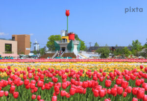 となみチューリップフェア、4月春の花、富山県砺波市の観光・撮影スポットの名所