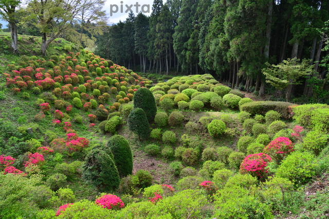 山中城跡公園、つつじ、4月春の花、静岡県三島市の観光・撮影スポットの名所