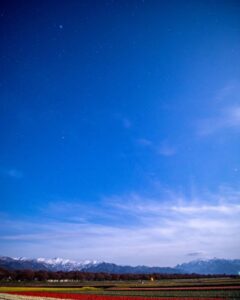あさひ舟川べりの四重奏、星空、4月春の花、富山県下新川郡の観光・撮影スポットの名所