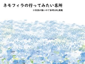 ネモフィラのイラスト