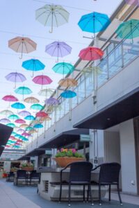 星ヶ丘テラス・アンブレラフラワー・５月の夏、名古屋市千種区の観光・撮影スポットの写真や画像