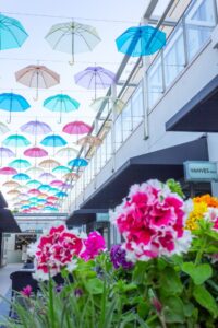 星ヶ丘テラス・アンブレラフラワー・５月の夏、名古屋市千種区の観光・撮影スポットの写真や画像