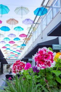 星ヶ丘テラス・アンブレラフラワー・５月の夏、名古屋市千種区の観光・撮影スポットの写真や画像