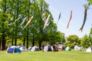 長良公園、鯉のぼり、5月夏の花、岐阜県岐阜市の観光・撮影スポットの画像と写真