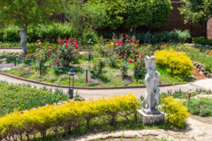 長良公園、バラ、6月夏の花、岐阜県岐阜市の観光・撮影スポットの画像と写真