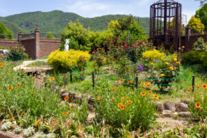 長良公園、バラ、6月夏の花、岐阜県岐阜市の観光・撮影スポットの画像と写真