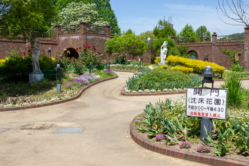 長良公園、バラ、6月夏の花、岐阜県岐阜市の観光・撮影スポットの画像と写真