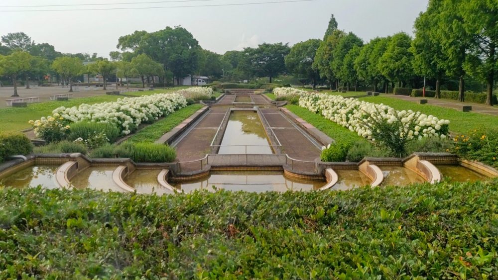 荒子川公園、あじさい、6月夏の花、名古屋居市南区の観光撮影スポット
