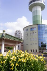 すいとぴあ江南　花しょうぶ　6月　夏の花　愛知県江南市の観光・撮影スポットの画像と写真