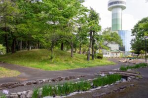 すいとぴあ江南　花しょうぶ　6月　夏の花　愛知県江南市の観光・撮影スポットの画像と写真