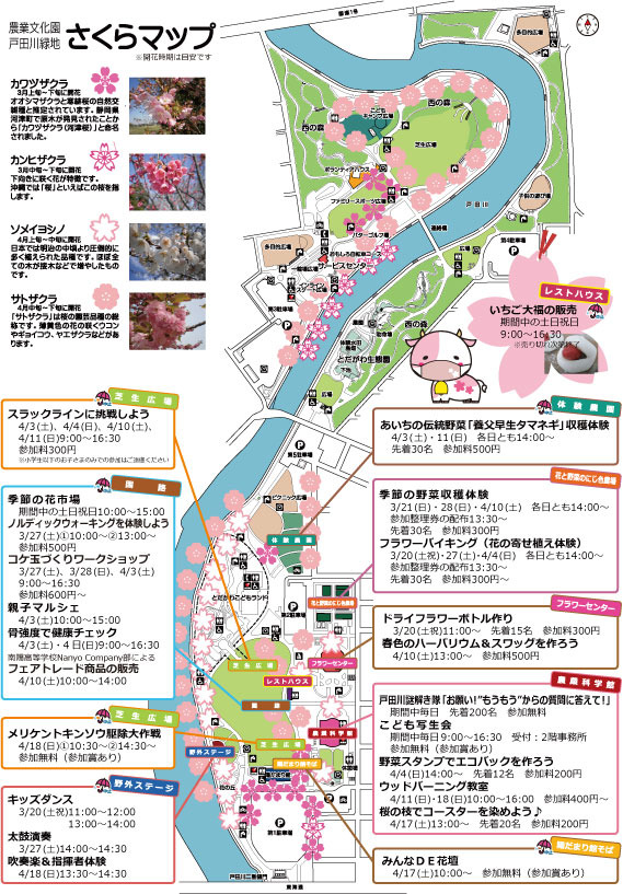 戸田川緑地　桜マップ