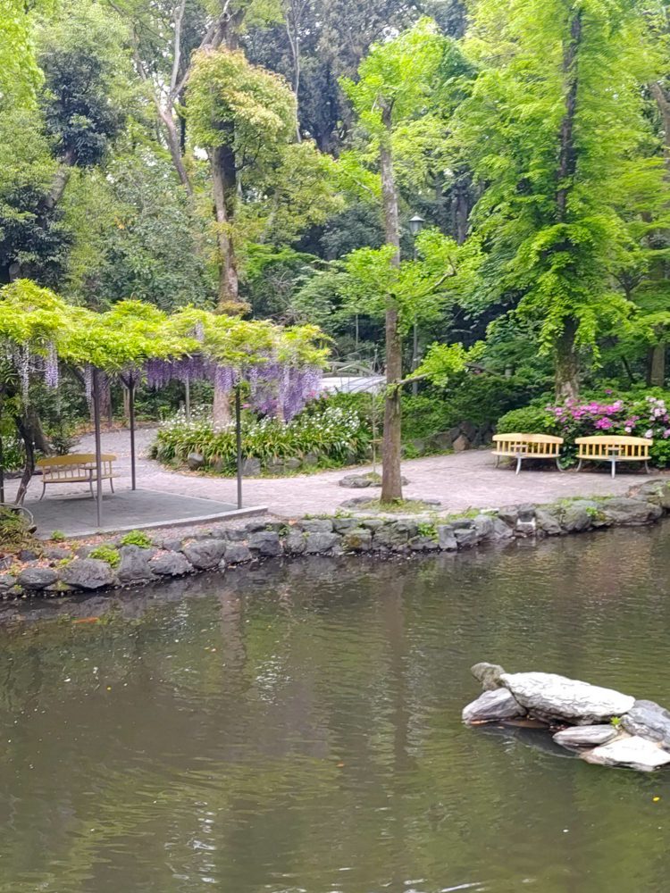 熱田神宮、藤棚、6月の夏の花、名古屋市熱田区の観光・撮影スポットの名所