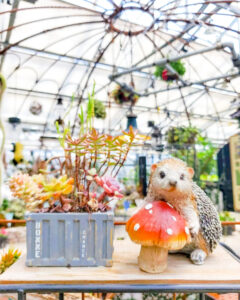 なばなの里、ベゴニアガーデン、5月夏の花、三重県桑名市の観光・撮影スポットの名所