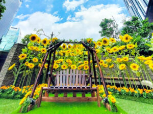 大名古屋ビルヂング、ひまわり、7月夏、名古屋市中村区の観光・撮影スポットの画像と写真
