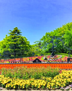 安城産業文化公園 デンパーク、6月の夏の花、愛知県安城市の観光・撮影スポットの画像と写真
