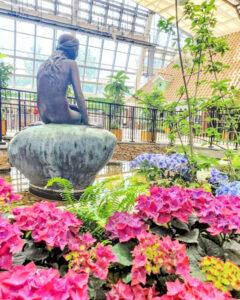 安城産業文化公園 デンパーク、6月の夏の花、愛知県安城市の観光・撮影スポットの画像と写真