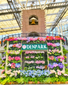安城産業文化公園 デンパーク、6月の夏の花、愛知県安城市の観光・撮影スポットの画像と写真
