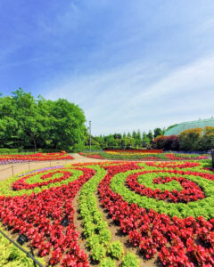 安城産業文化公園 デンパーク、6月の夏の花、愛知県安城市の観光・撮影スポットの画像と写真
