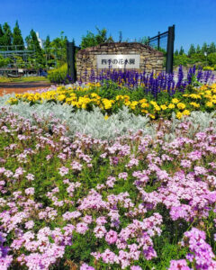 安城産業文化公園 デンパーク、6月の夏の花、愛知県安城市の観光・撮影スポットの画像と写真