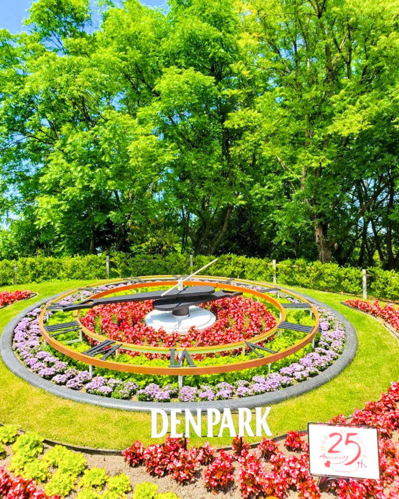 安城産業文化公園 デンパーク、6月の夏の花、愛知県安城市の観光・撮影スポットの画像と写真