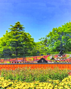 安城産業文化公園 デンパーク、6月の夏の花、愛知県安城市の観光・撮影スポットの画像と写真