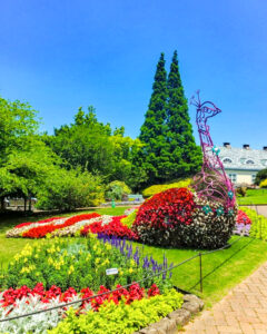 安城産業文化公園 デンパーク、6月の夏の花、愛知県安城市の観光・撮影スポットの画像と写真