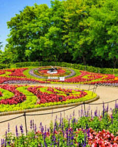 安城産業文化公園 デンパーク、6月の夏の花、愛知県安城市の観光・撮影スポットの画像と写真