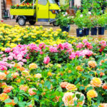 久屋大通庭園フラリエ、バラ、夏の花5月、名古屋市中区の観光・撮影スポットの名所