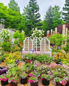 久屋大通庭園フラリエ、バラ、夏の花5月、名古屋市中区の観光・撮影スポットの名所