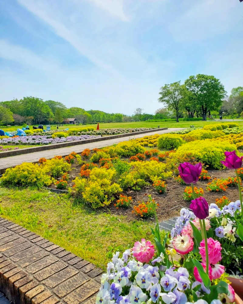 フラワーパーク江南、夏の花、愛知県江南市の観光・撮影スポットの名所