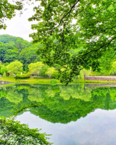 ぎふワールド・ローズガーデン、バラ、5月夏の花、岐阜県可児市の観光・撮影スポットの名所