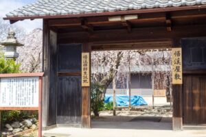 悟渓屋敷、しだれ桜、3月春の花、愛知県丹羽郡扶桑町の観光・撮影スポットの名所