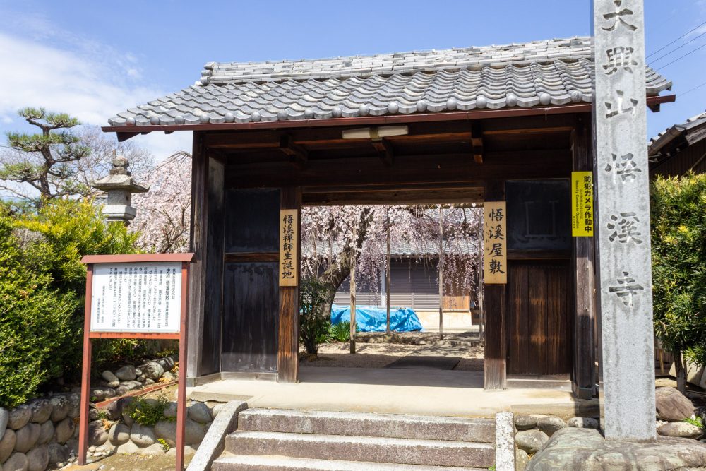悟渓屋敷、しだれ桜、3月春の花、愛知県丹羽郡扶桑町の観光・撮影スポットの名所