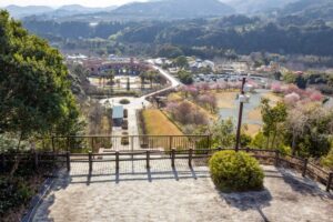 浜松フルーツパーク、梅、2月の春の花、静岡県浜松市の観光・撮影スポットの画像と写真