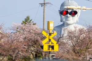 布袋の大仏、踏切のサングラス、桜、3月の春の花、愛知県岩倉市の観光・撮影スポットの名所