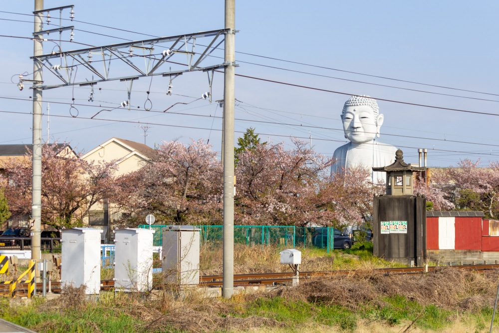 布袋の大仏、踏切のサングラス、桜、3月の春の花、愛知県岩倉市の観光・撮影スポットの名所
