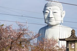 布袋の大仏、踏切のサングラス、桜、3月の春の花、愛知県岩倉市の観光・撮影スポットの名所