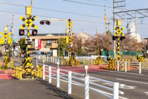 布袋の大仏、踏切のサングラス、桜、3月の春の花、愛知県岩倉市の観光・撮影スポットの名所