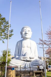 布袋の大仏、3月の春の花、愛知県岩倉市の観光・撮影スポットの名所