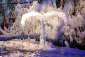 氷点下の森、冬景色、ライトアップ、2月の冬、岐阜県高山市の観光・撮影スポットの画像と写真