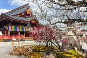 岩津天満宮　神橋梅苑　梅まつり　3月　愛知県岡崎市の観光・撮影スポットの画像と写真