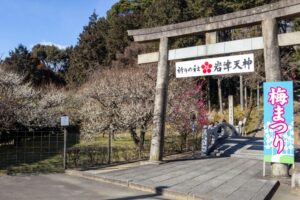 岩津天満宮　神橋梅苑　梅まつり　3月　愛知県岡崎市の観光・撮影スポットの画像と写真