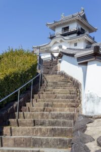 逆川沿い、掛川城、3月の春の花、静岡県掛川市の観光・撮影スポットの名所