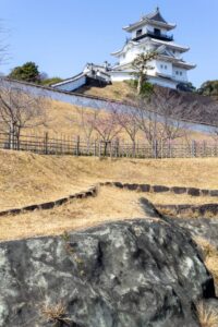 逆川沿い、掛川城、3月の春の花、静岡県掛川市の観光・撮影スポットの名所