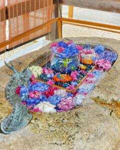金井神社、花手水舎、あじさい、三重県いなべ市の観光・撮影スポットの名所